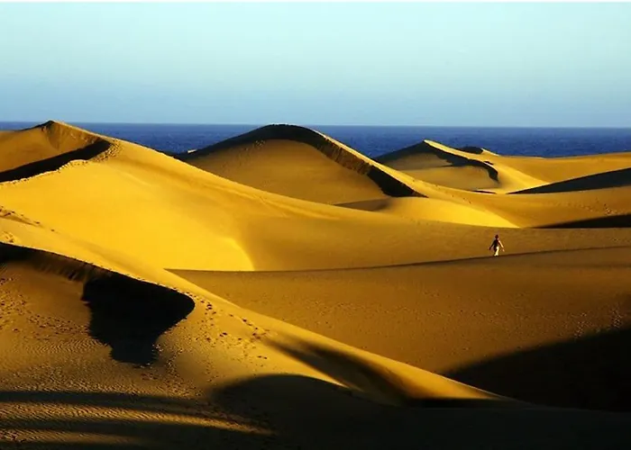 Turquesa 4th By Casas Cocodrilo *