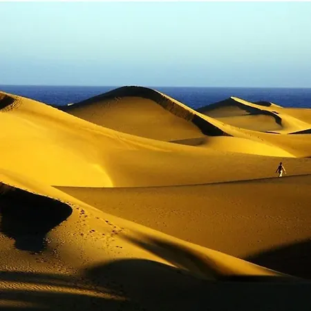 Turquesa 4th By Casas Cocodrilo *