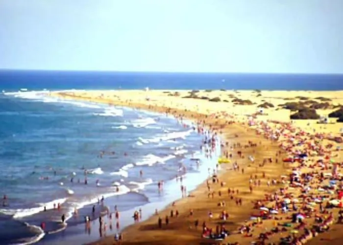 Turquesa 4th By Casas Cocodrilo